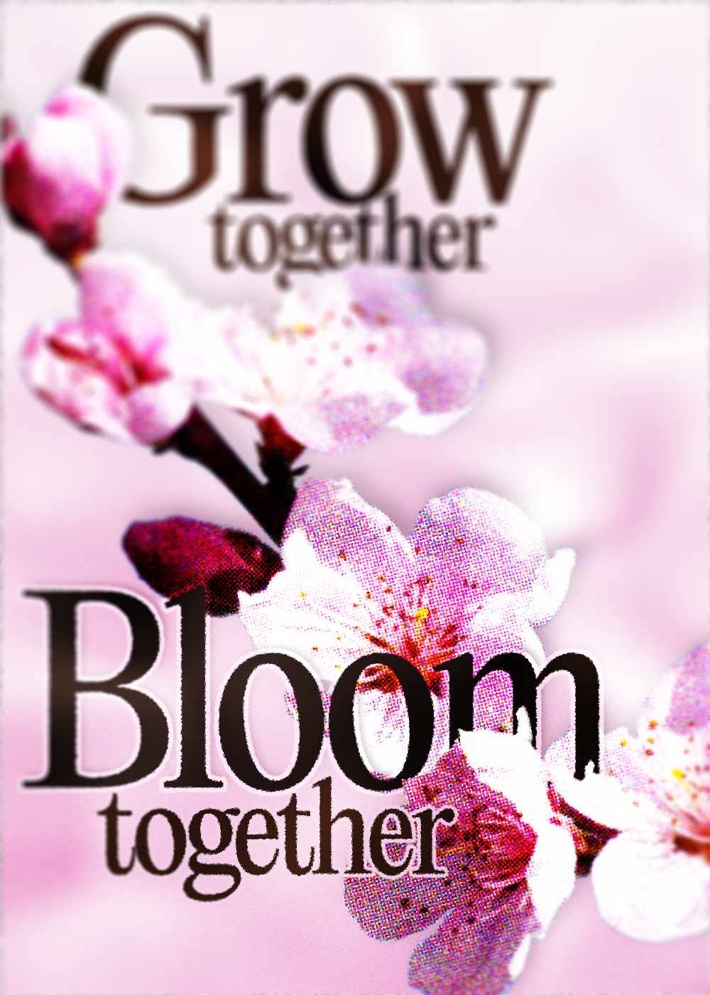 bloom